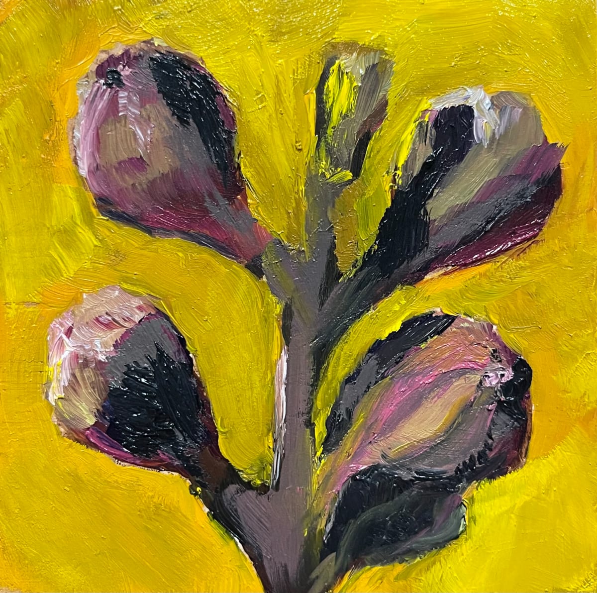 Figs by Anton Mogilevsky, Image 1.