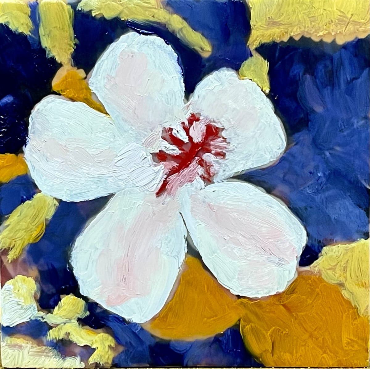 Maui Hibiscus by Anton Mogilevsky 