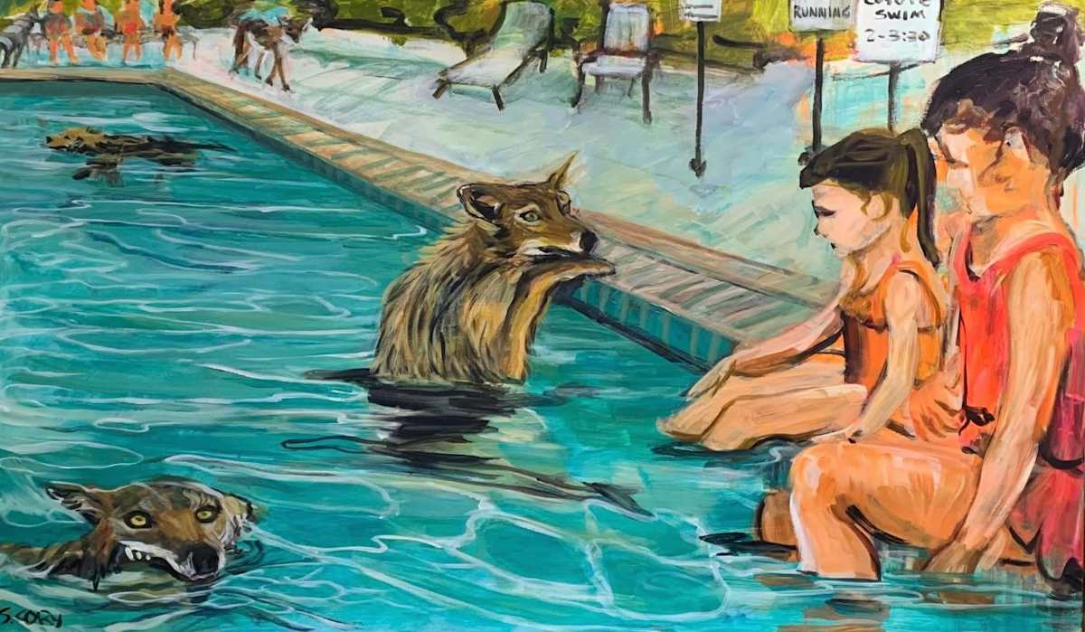 Coyote Swim by Sharon Cory 