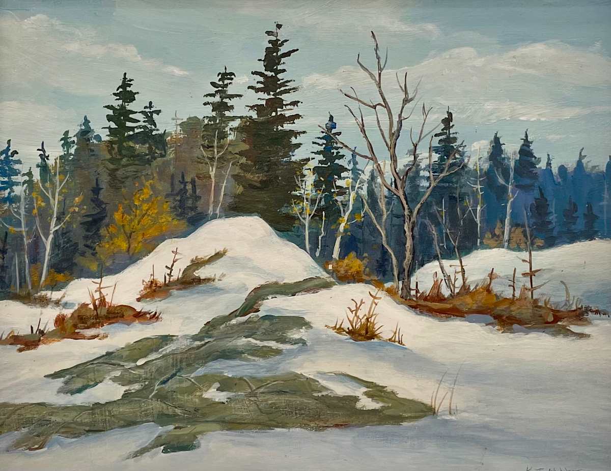November Snow by Kenneth Martin 
