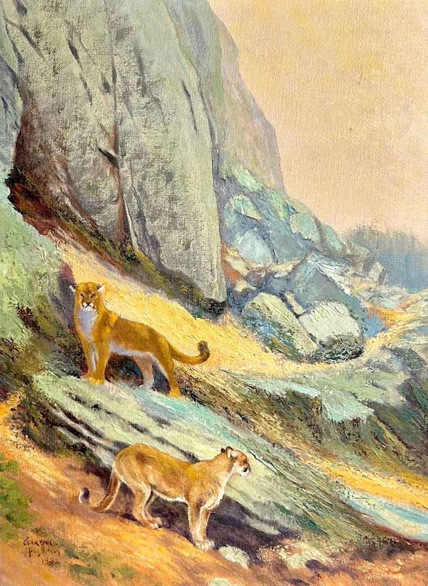 BLACKHILL COUGARS by Clarence Tillenious, Image 1.