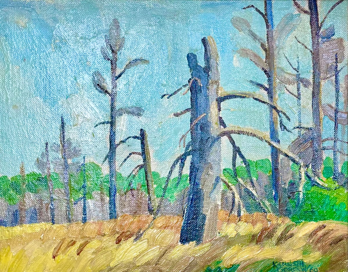 Dead Spruce Near Hecla Island by Kenneth Gordon 