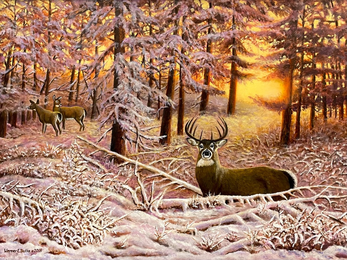 First Snow by Werner Batke, Image 1.