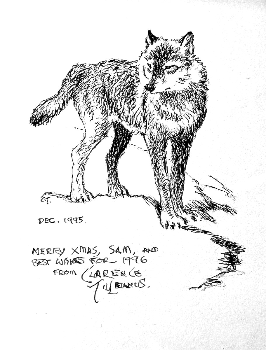 Wolf by Clarence Tillenious, Image 1.
