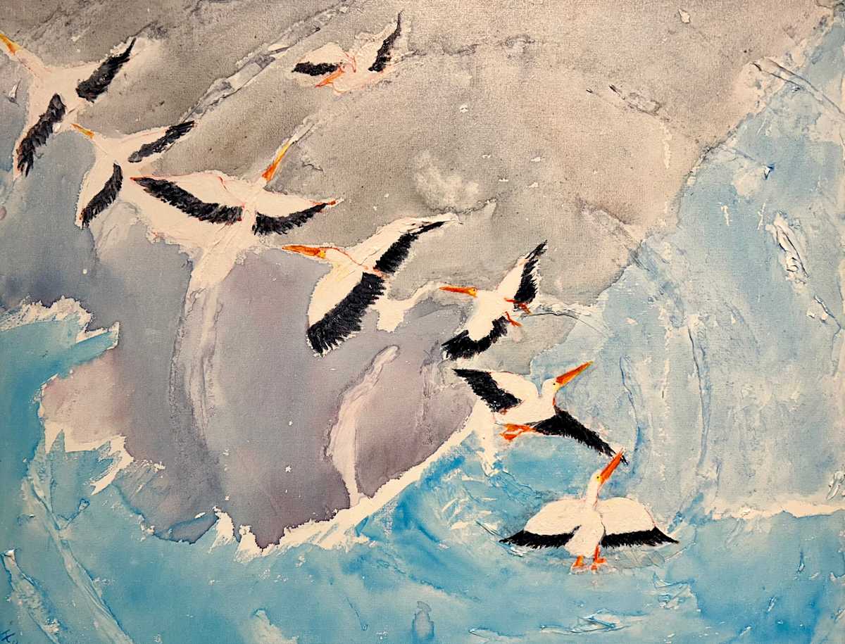 Pelicans Ascending by Helma Rogge Rehders, Image 1.