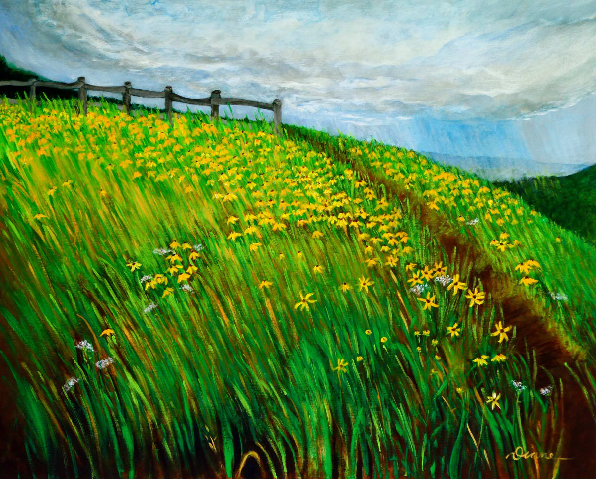 Summit of Max Patch by Diane Gore 