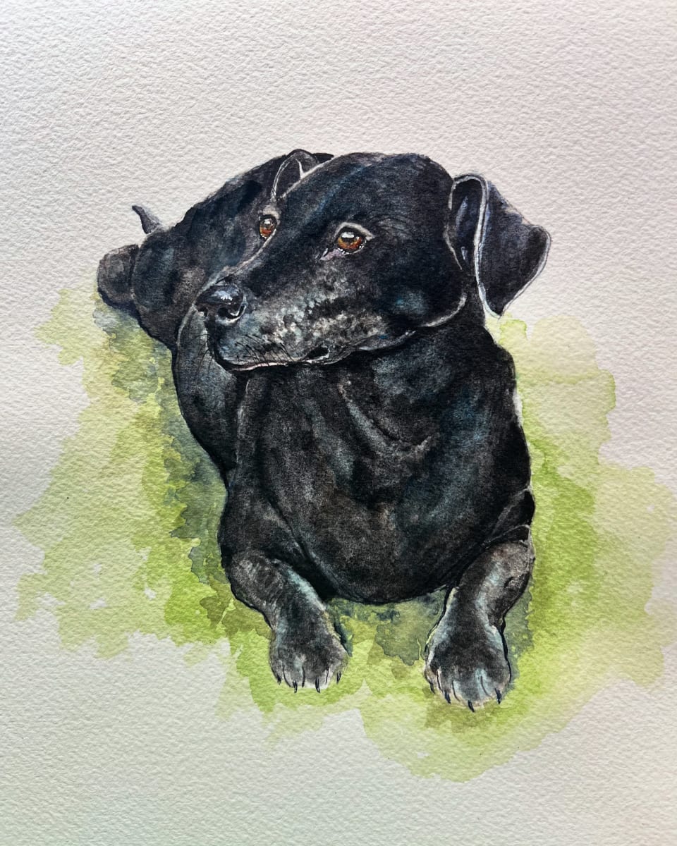 Martin by Amy DeVane 