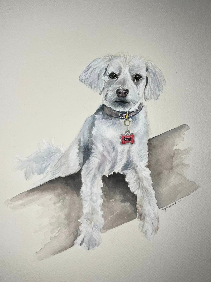 Perkins Pup by Amy DeVane 