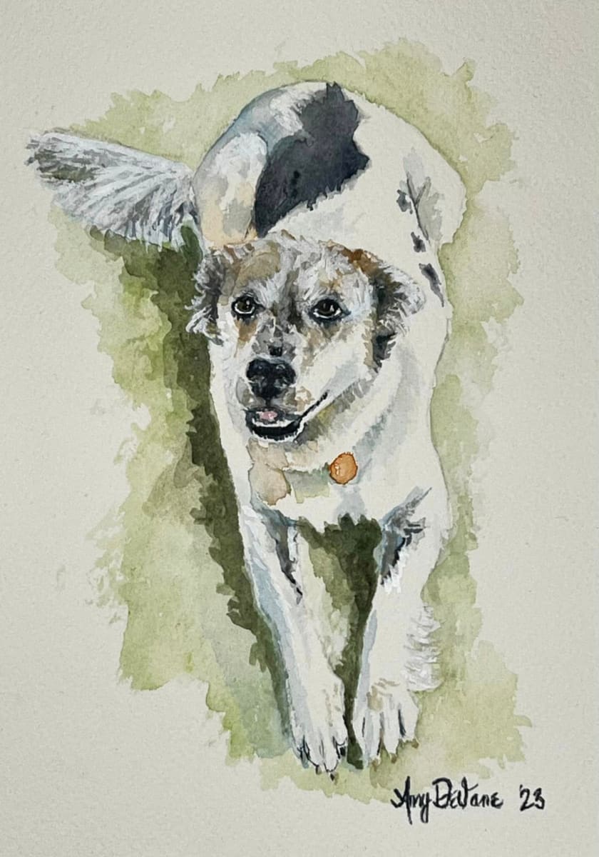 Walworth Dog by Amy DeVane 