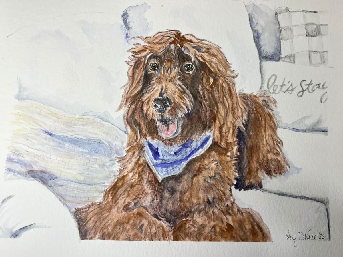 Australian Doodle-Rufus by Amy DeVane  Image: "the first"