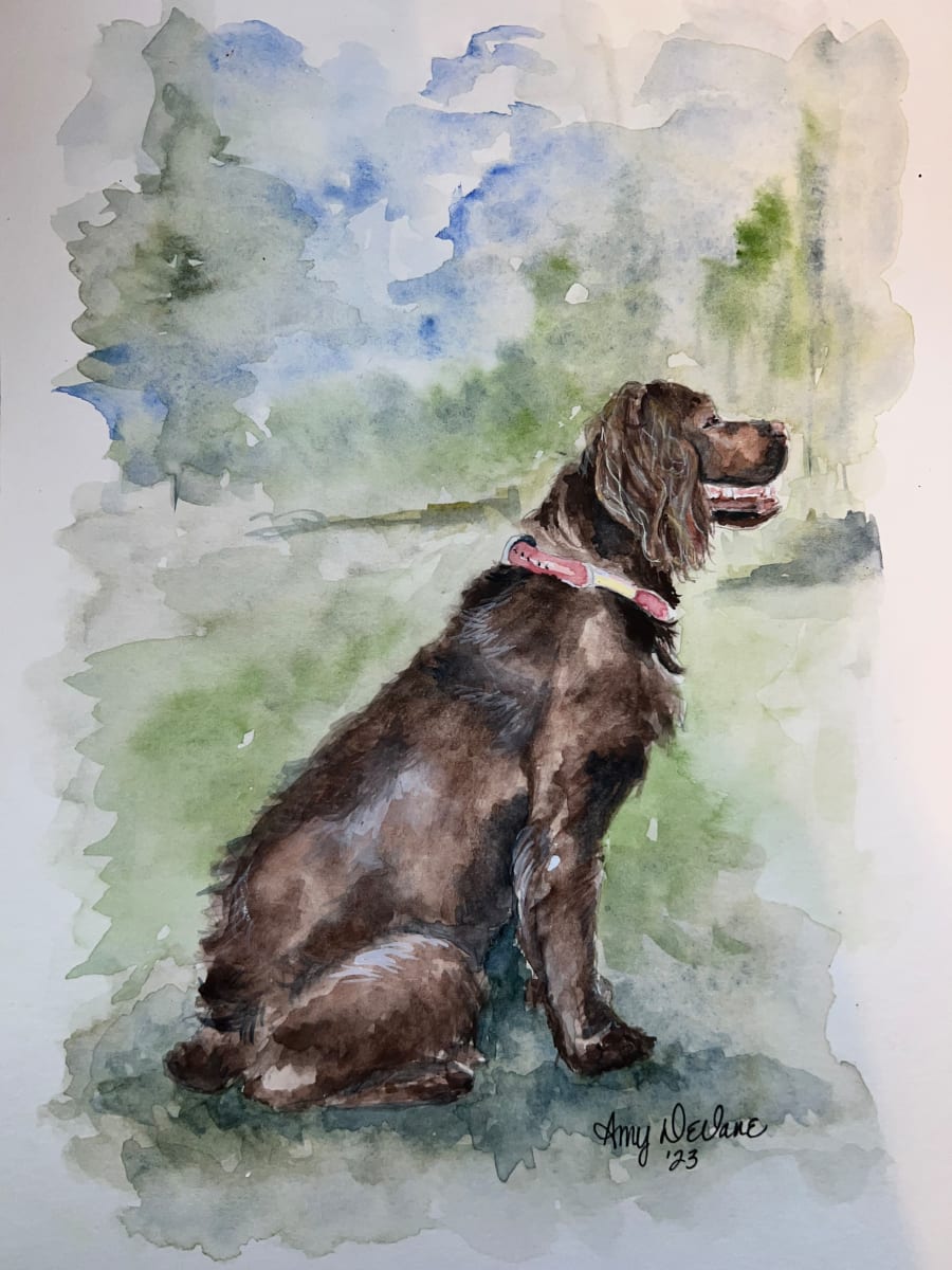 Davis Boykin Spaniel by Amy DeVane 