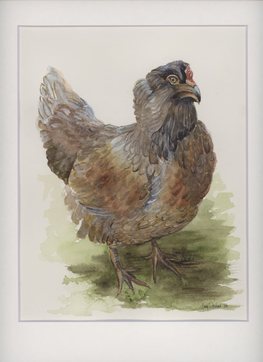 Flournoy Chicken by Amy DeVane 
