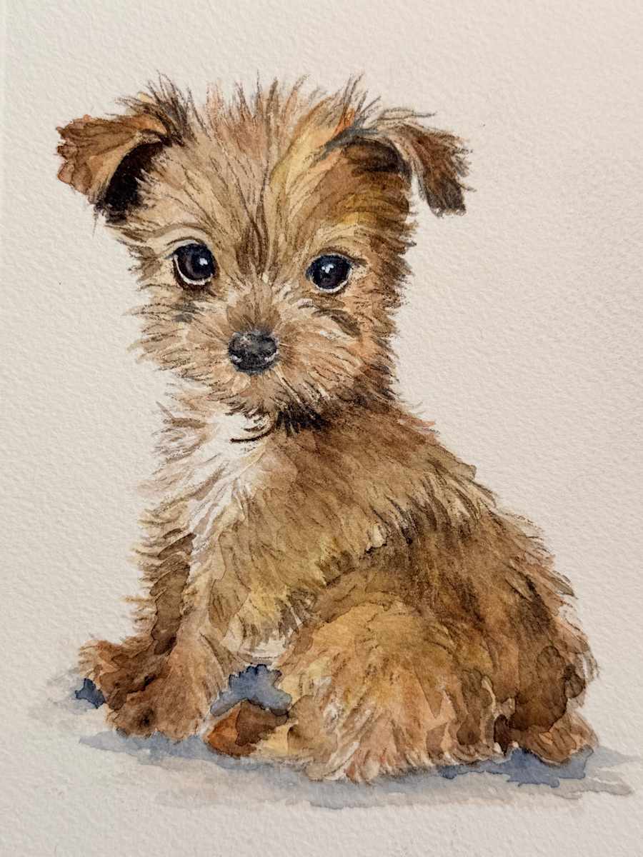 “Arya” by Amy DeVane, Image 1.