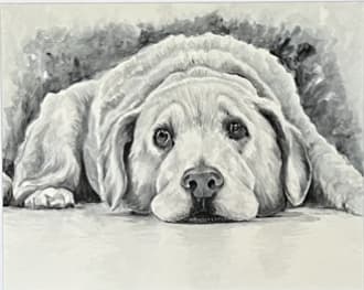 Comfort by Amy DeVane, Image 1.