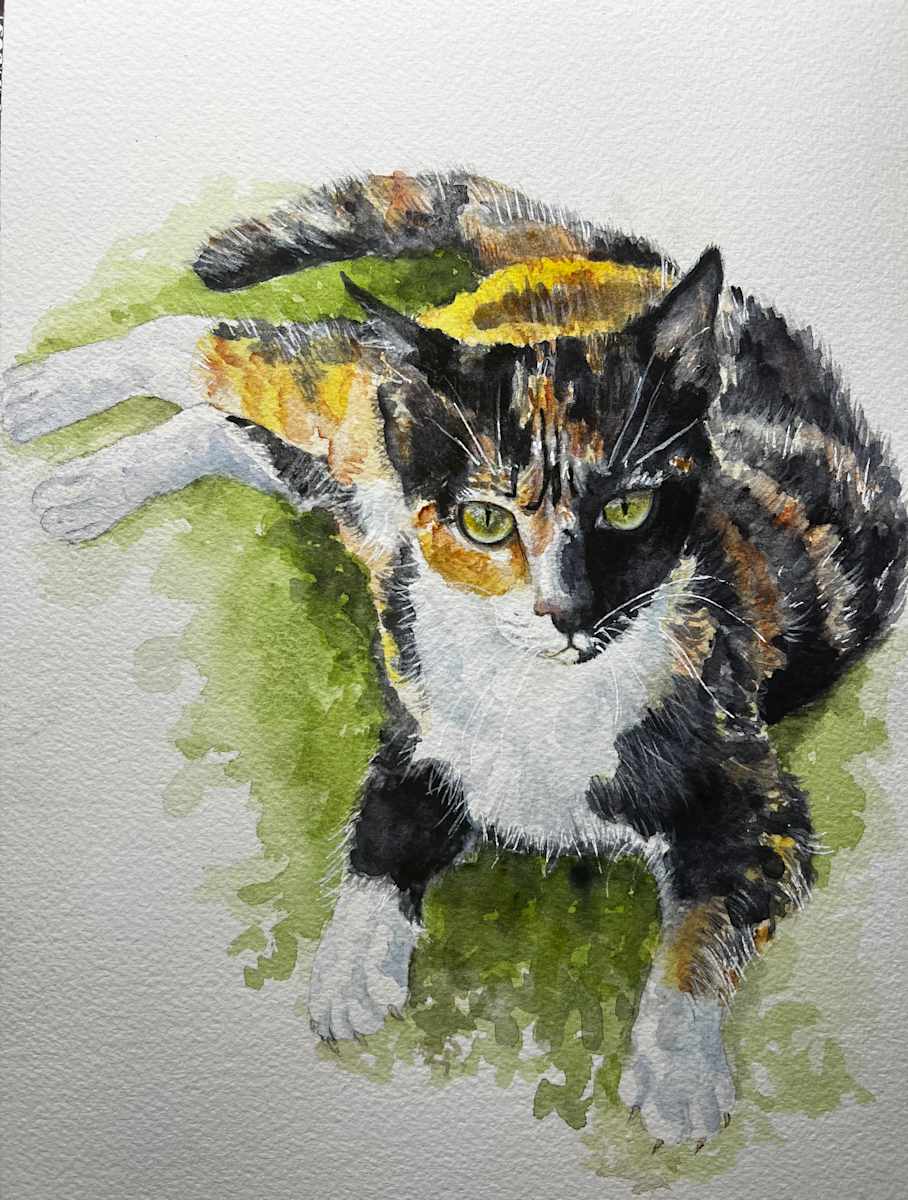 Calico-Fournoy by Amy DeVane, Image 2.