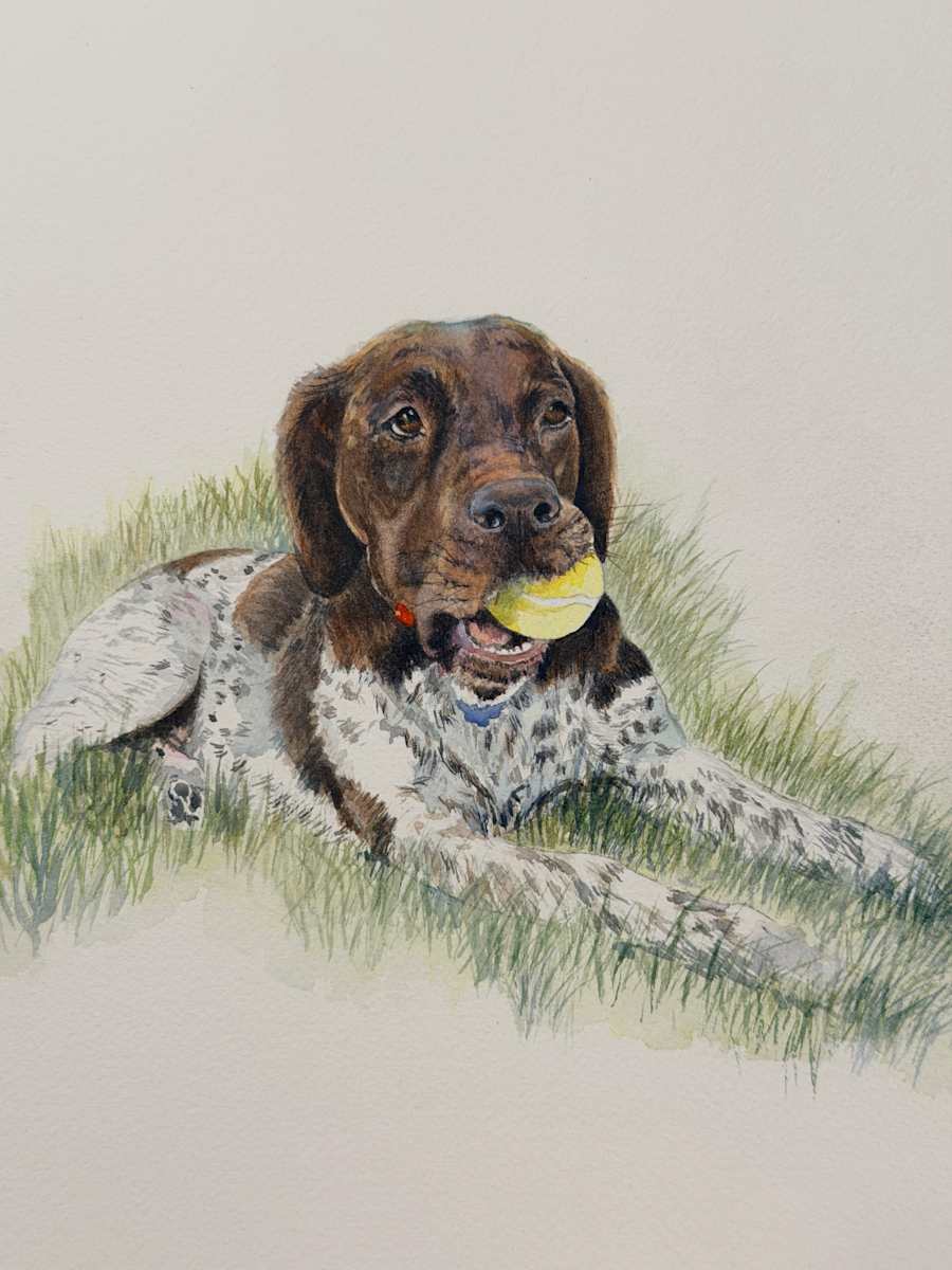 Porkchop-Moore by Amy DeVane 