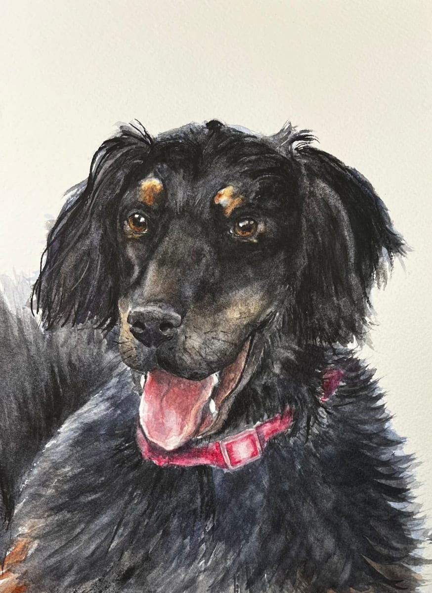 Flournoy Dog 2 by Amy DeVane 