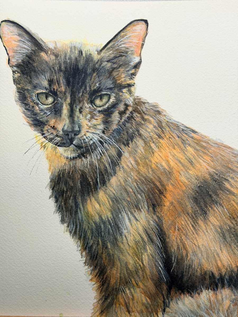 Flournoy-11-25 by Amy DeVane 