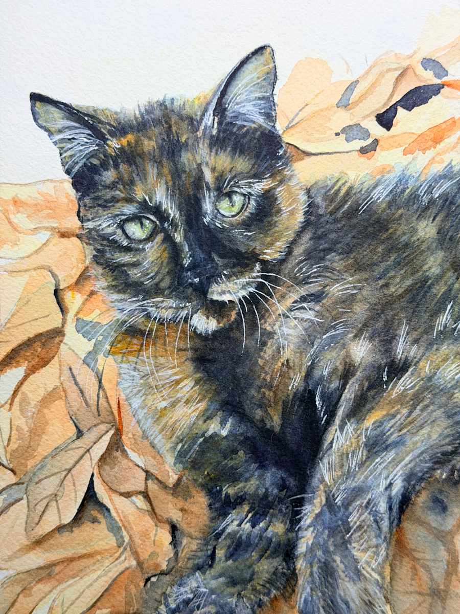 Flournoy 11-25 by Amy DeVane 