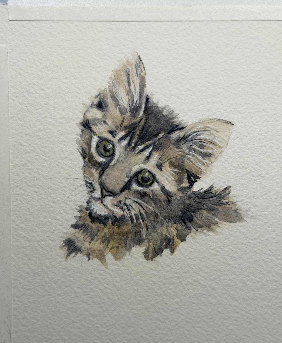 Cat ornament-Jodi by Amy DeVane 