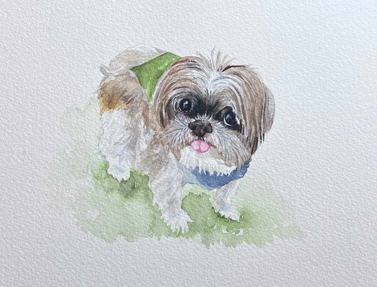 Buddy T by Amy DeVane 