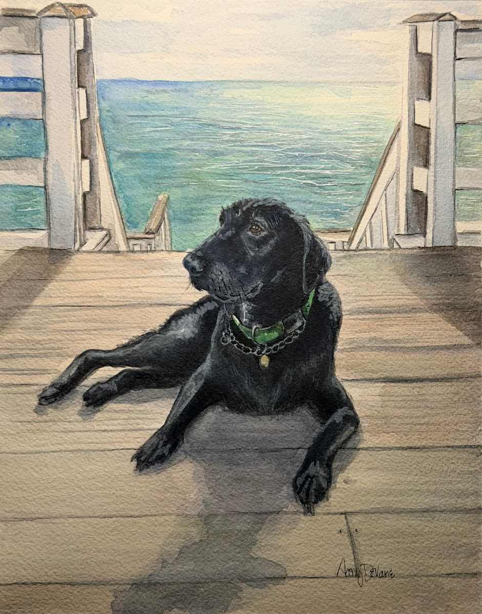 The Beach- Clara L by Amy DeVane 