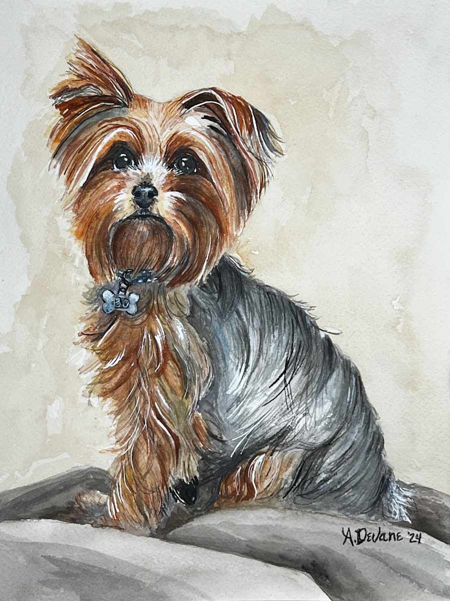 Bo-S. Singletary by Amy DeVane, Image 1.