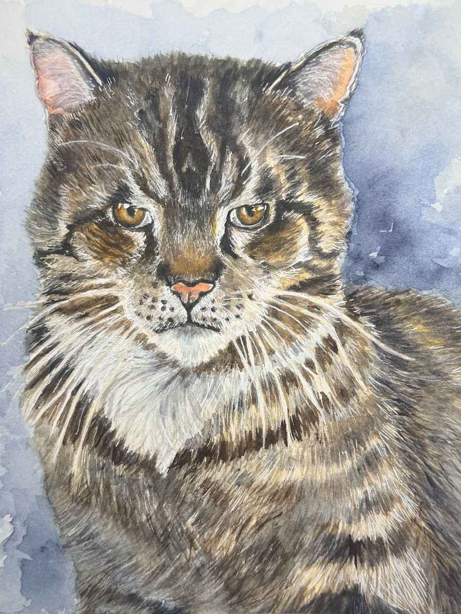 “Gourgues” Cat by Amy DeVane 