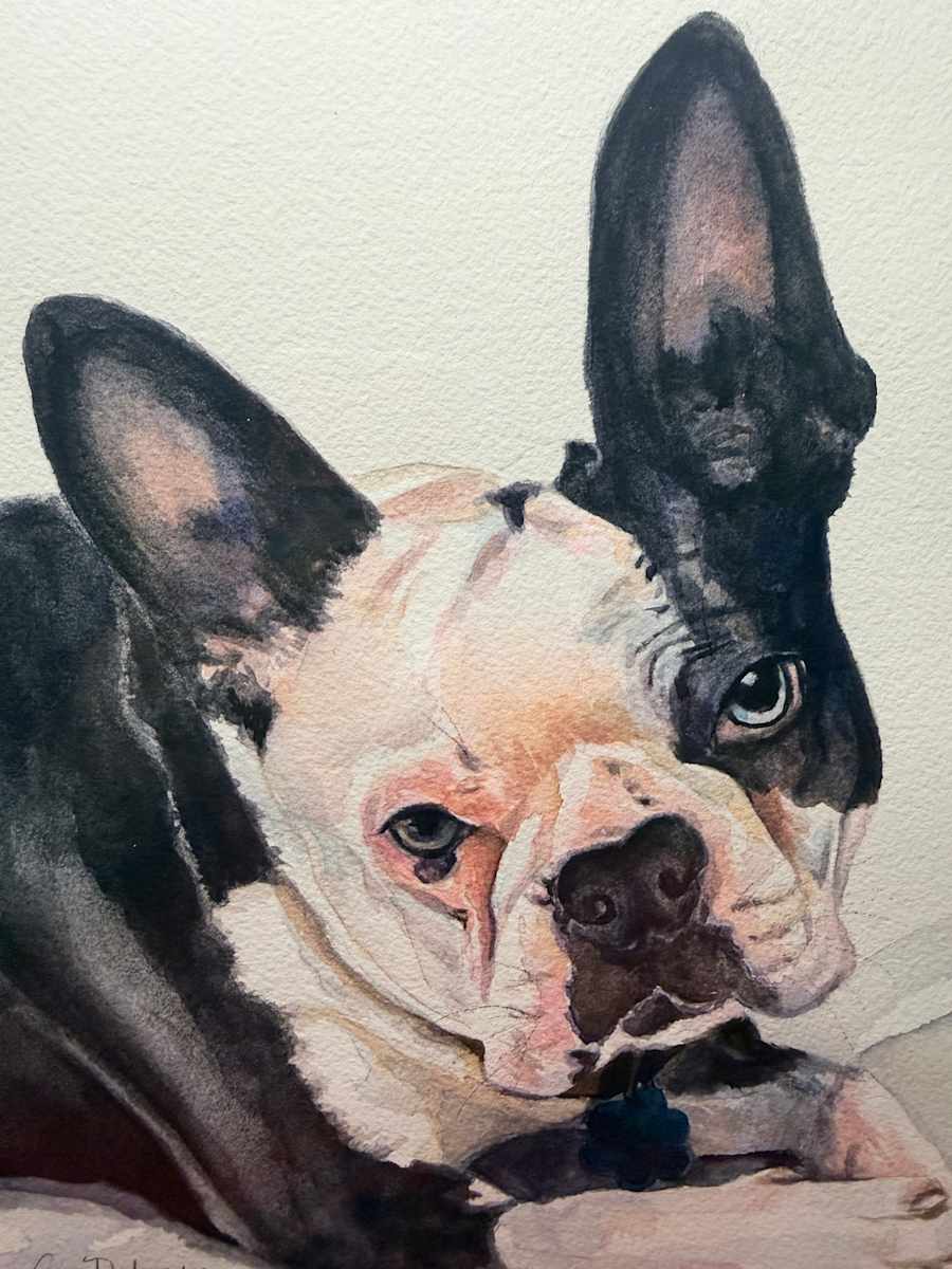 Dix-8x10 Boston by Amy DeVane 