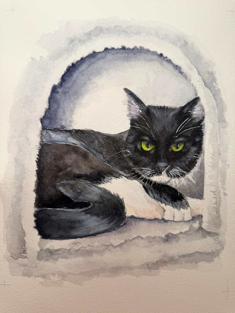 Buddy by Amy DeVane, Image 2.