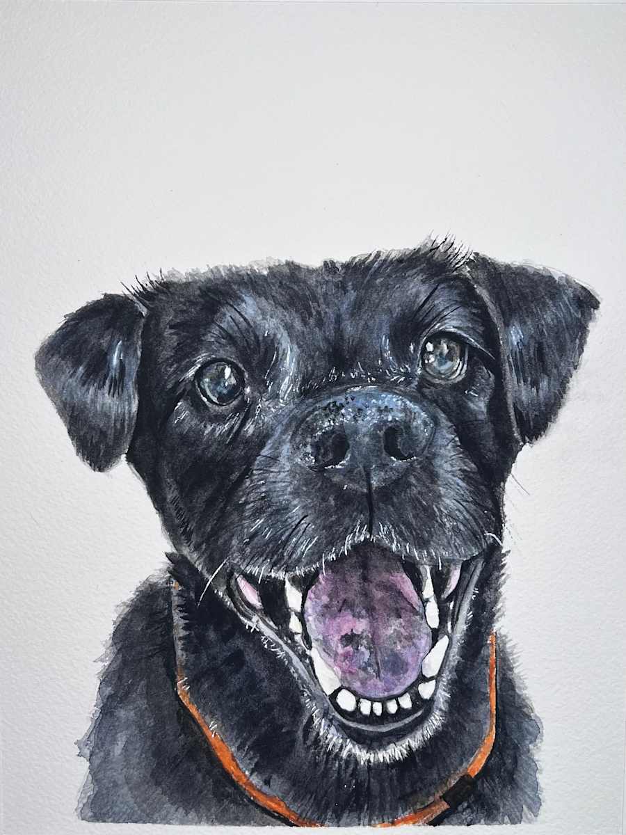 Enfinger Pup 4 by Amy DeVane, Image 1.