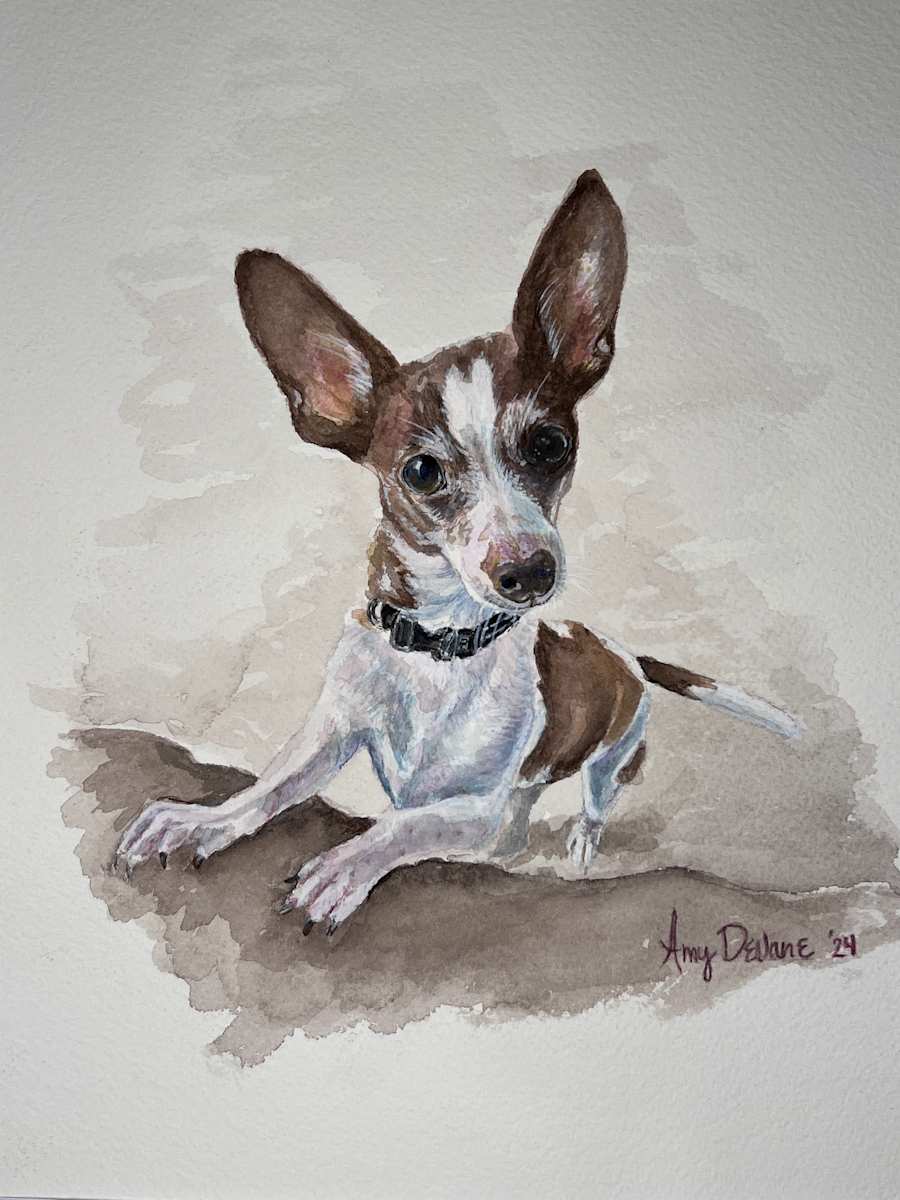 Niday Dog 2 by Amy DeVane, Image 1.