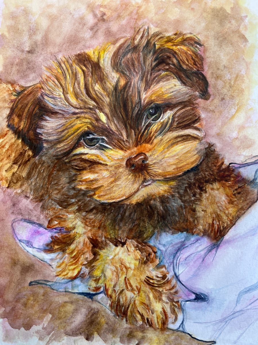 Helms Pup by Amy DeVane 