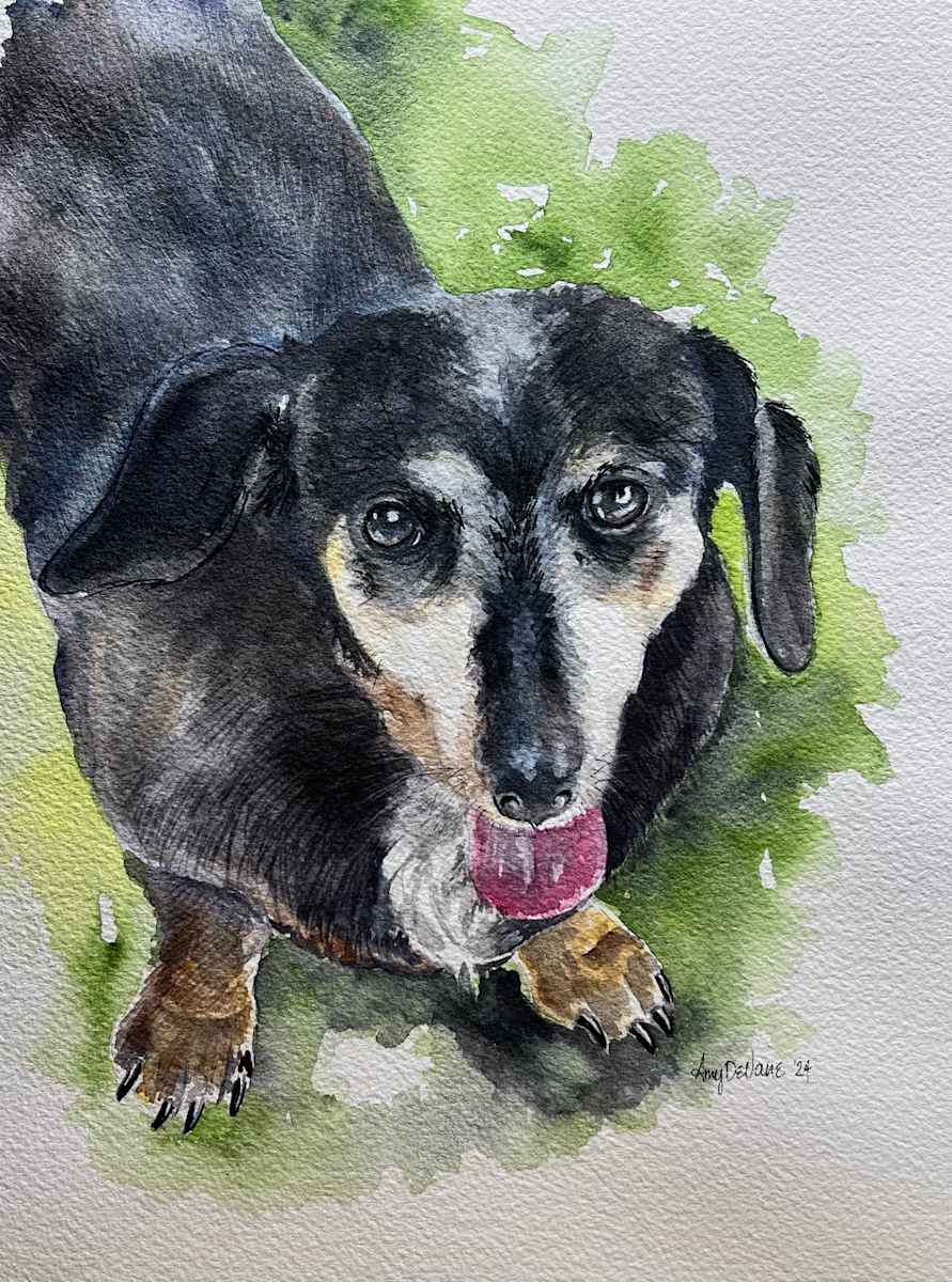 Pippin 1 by Amy DeVane, Image 1.