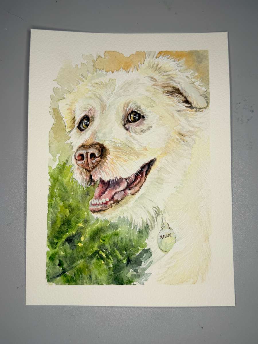 Millie by Amy DeVane 