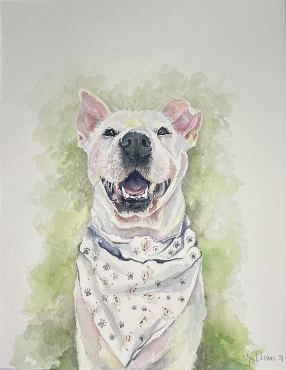 Charlie by Amy DeVane 