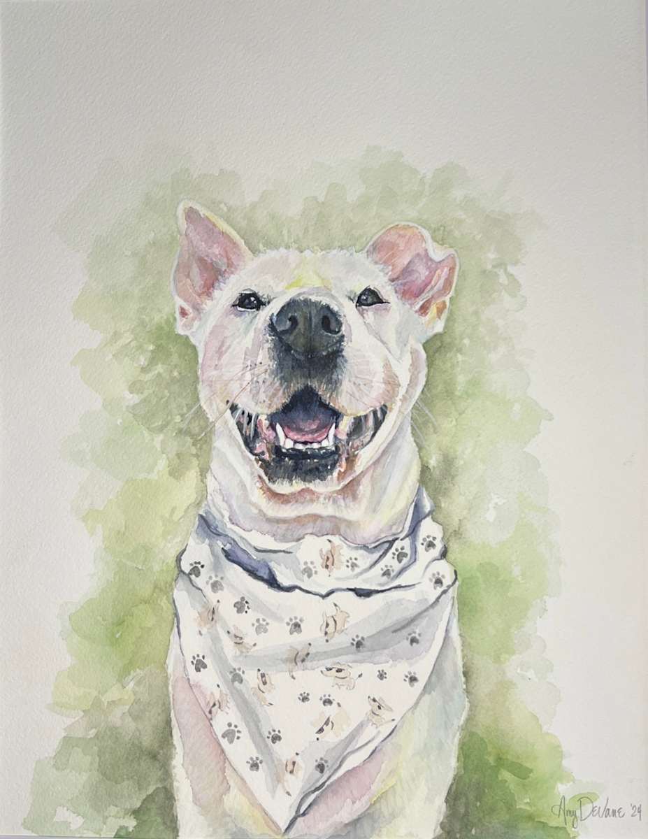 Charlie by Amy DeVane, Image 1.