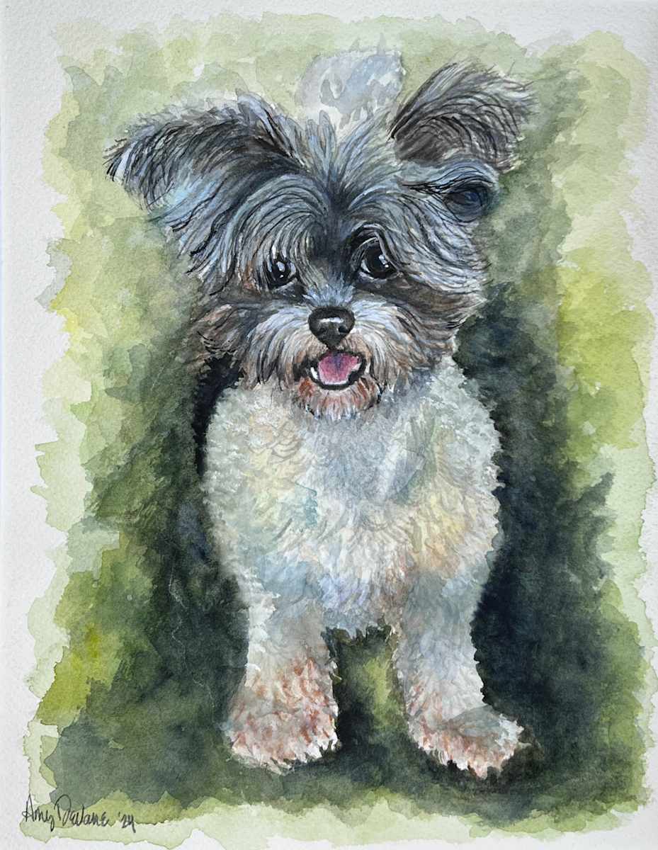 Niday Dog 3 by Amy DeVane, Image 1.