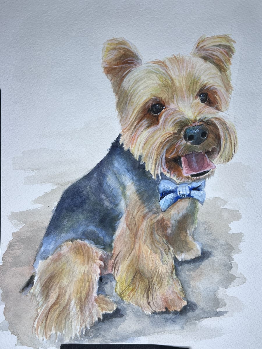 Chewy by Amy DeVane 