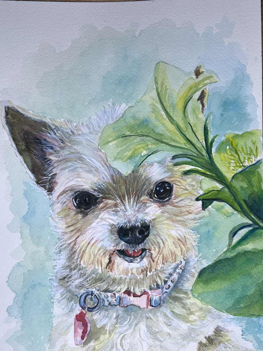 Cricket by Amy DeVane, Image 1.