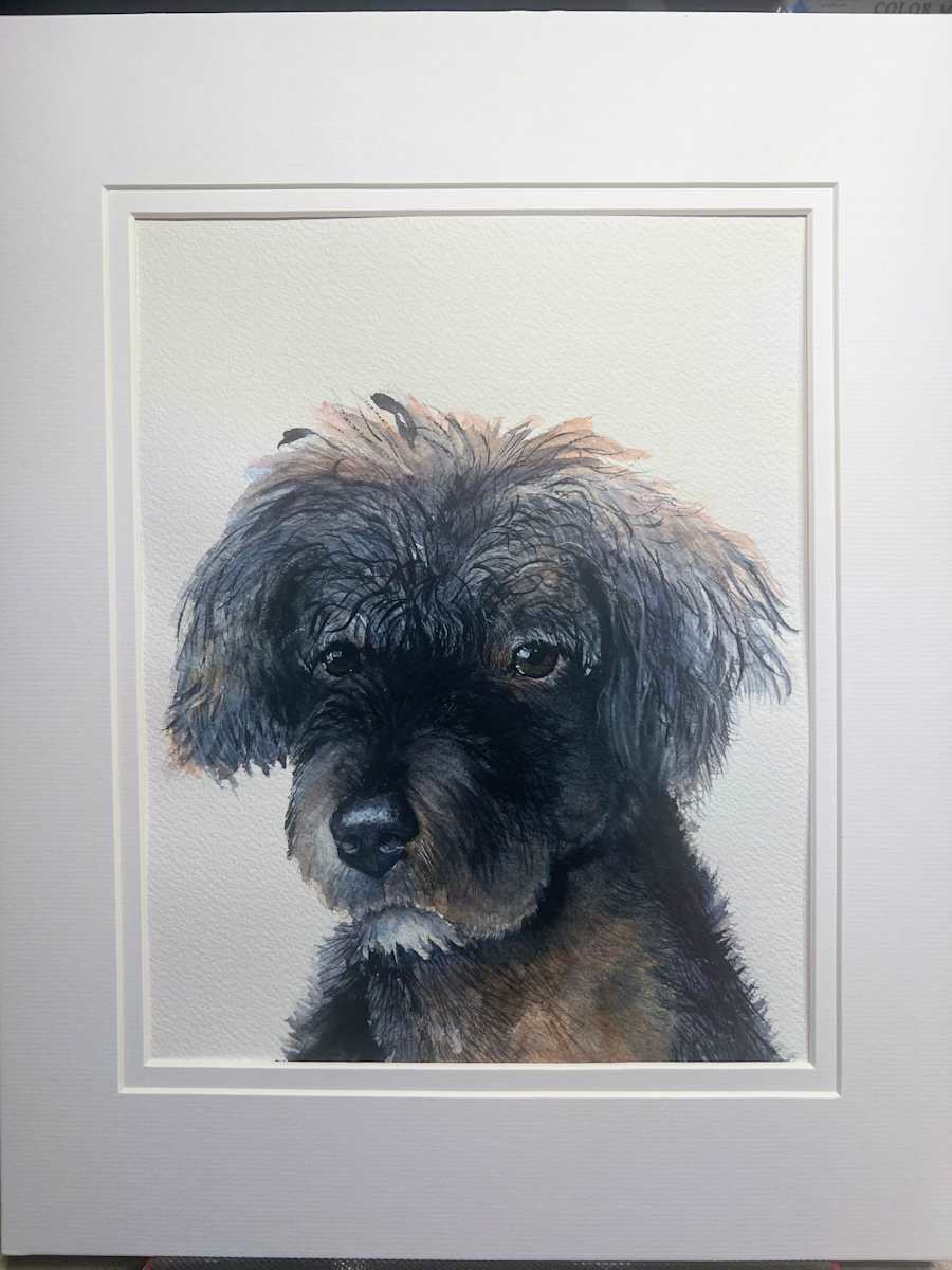 Piper Pup 2 by Amy DeVane 