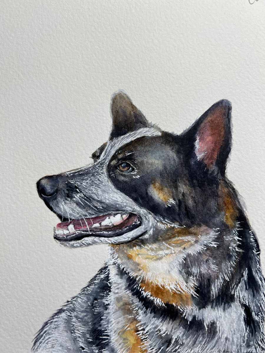 Cothern Pup by Amy DeVane 