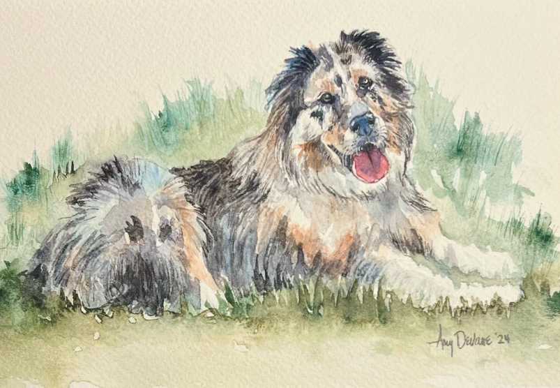Booker 2 by Amy DeVane, Image 1.