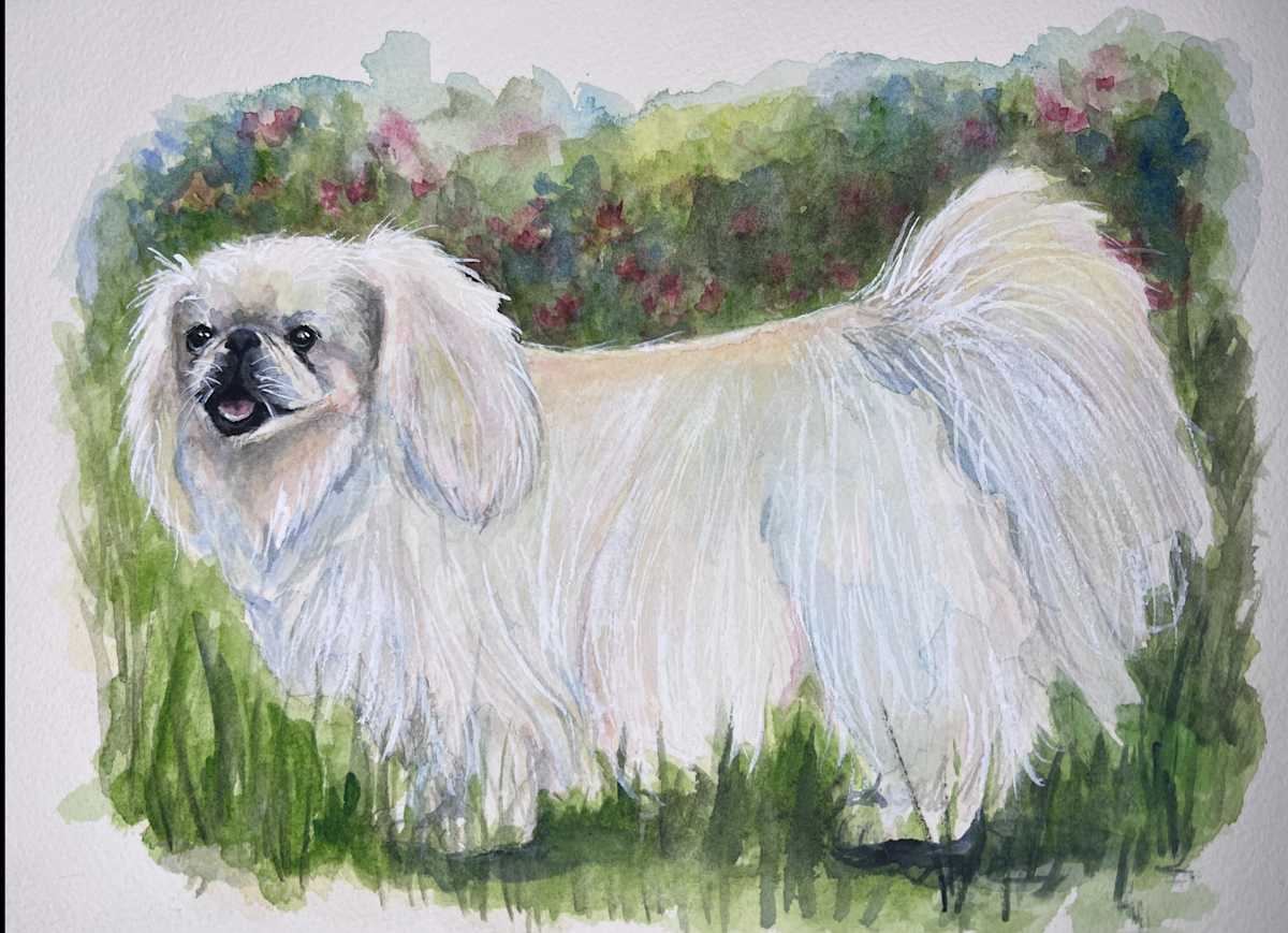 Sweet Friend by Amy DeVane 
