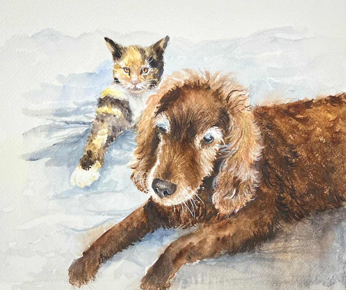 Littlefield 1 by Amy DeVane 