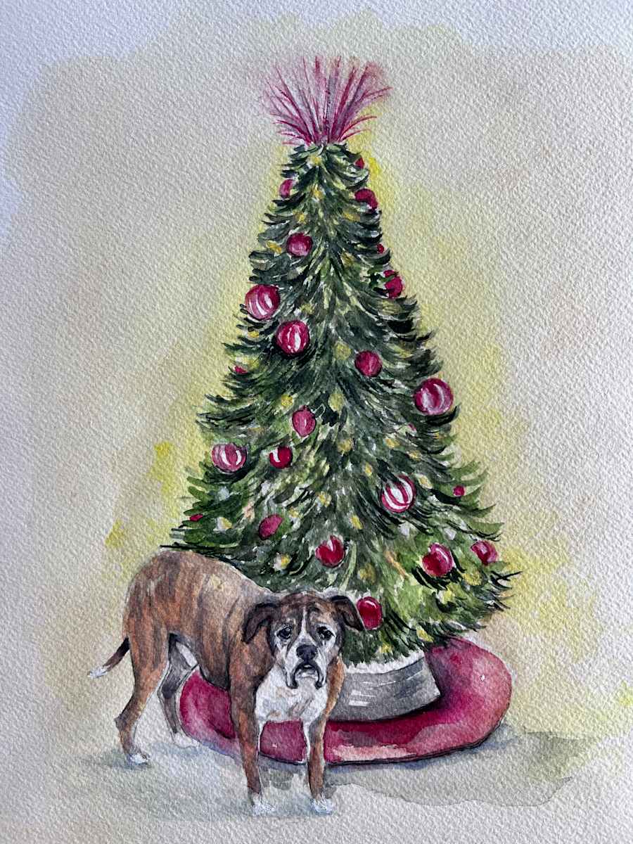 Bri pup by Amy DeVane 