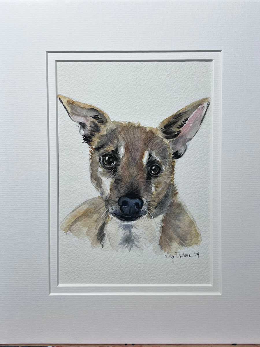 Thornton Pup by Amy DeVane 