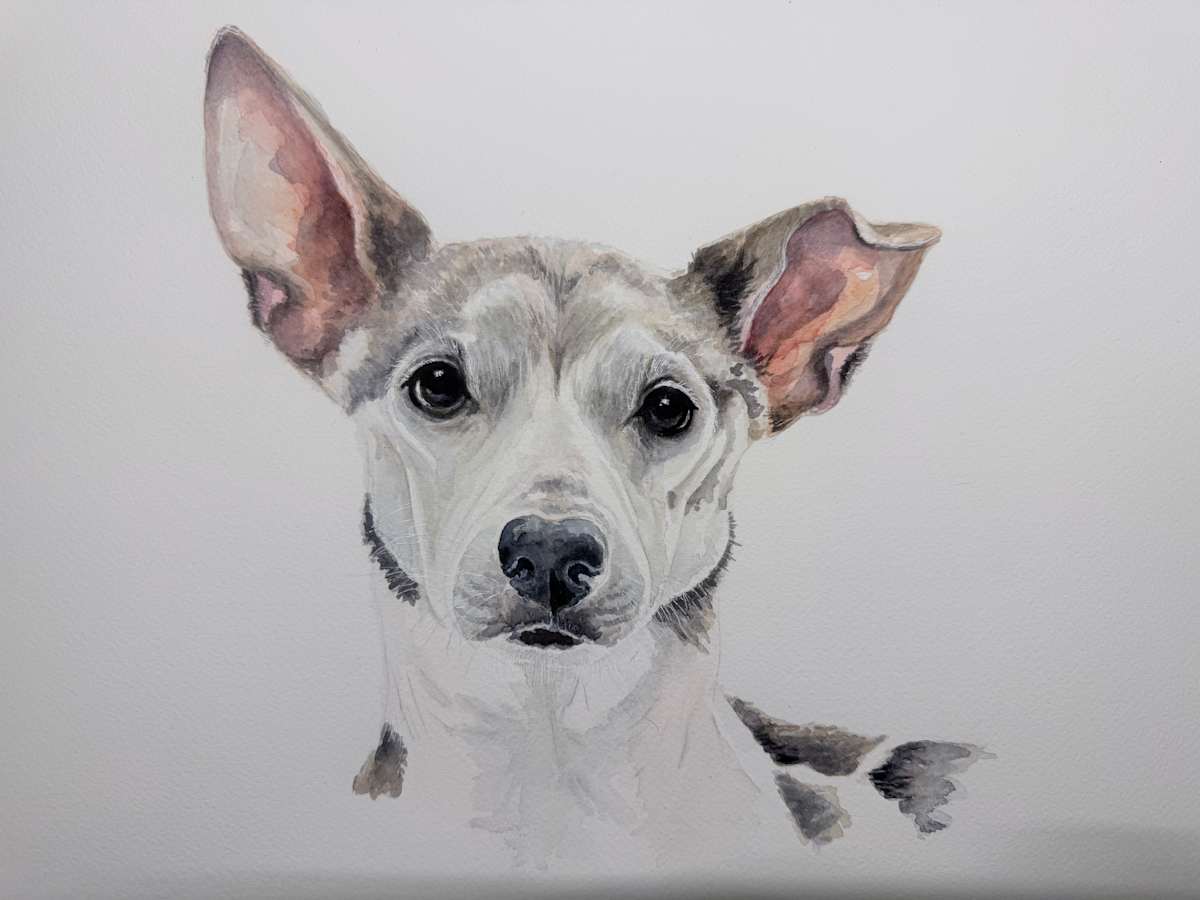 Buchanan Pup by Amy DeVane, Image 1.