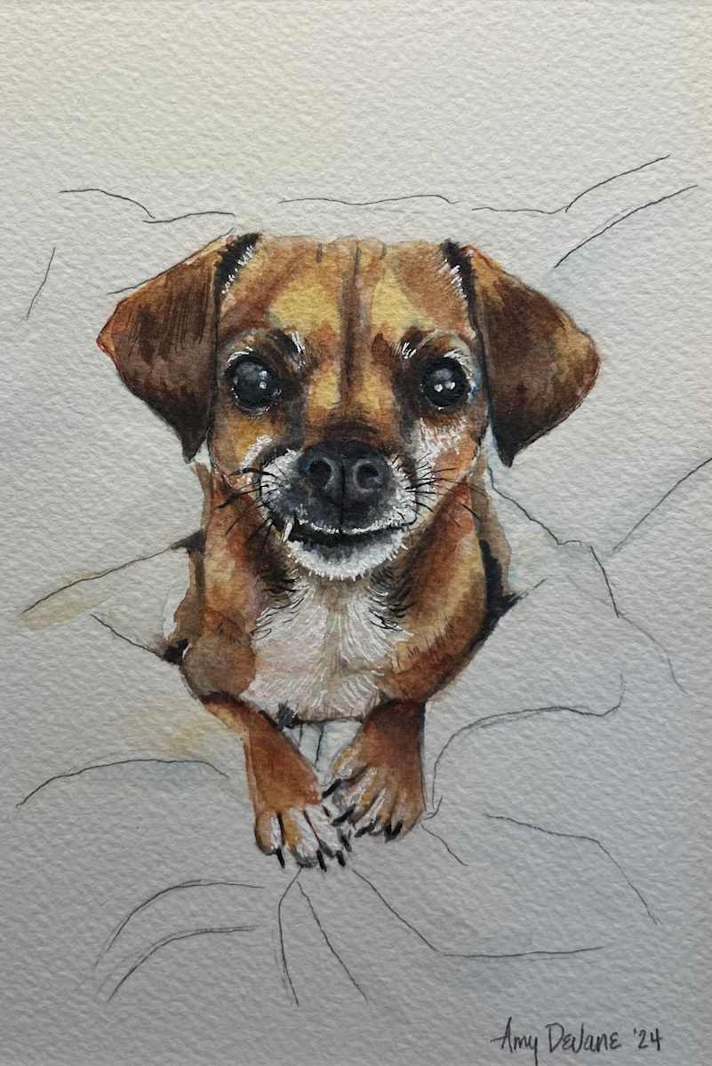 Feltman Pup by Amy DeVane 