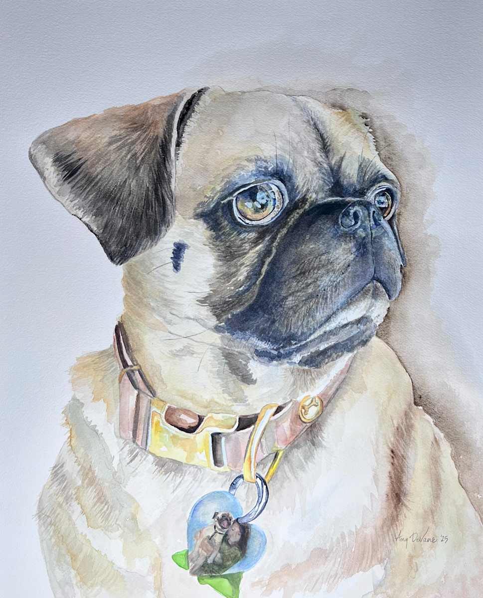 Charlie by Amy DeVane 
